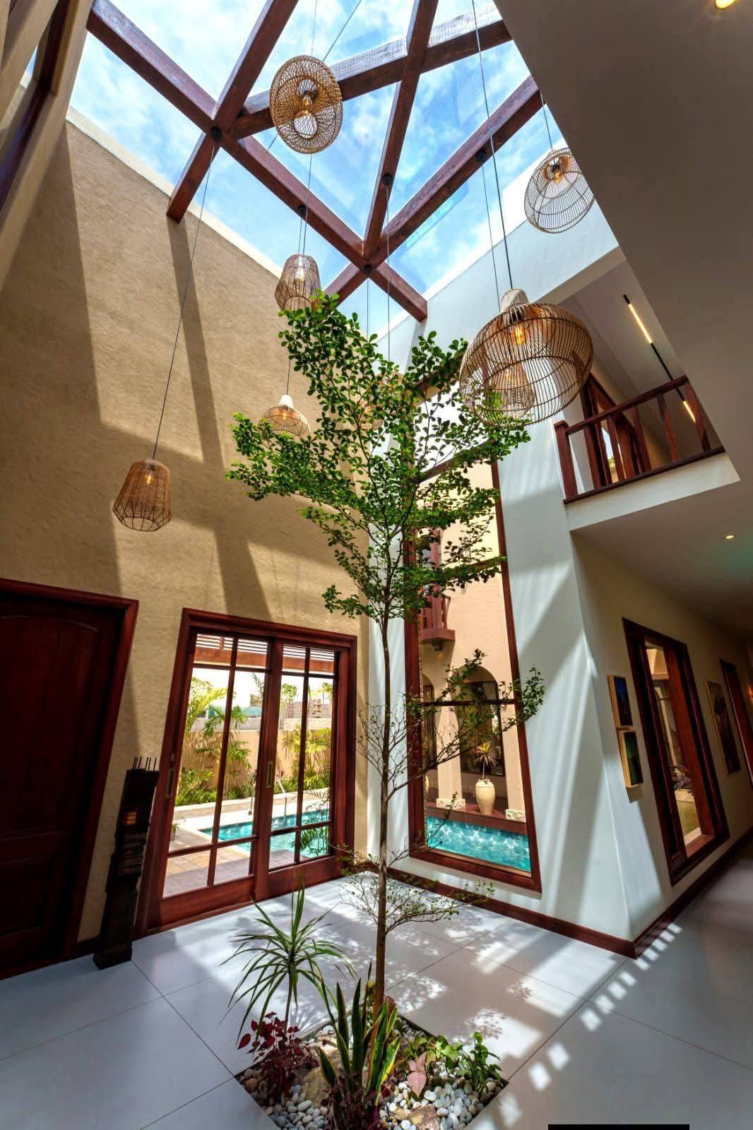 Skylit entrance atrium with a tree growing through it